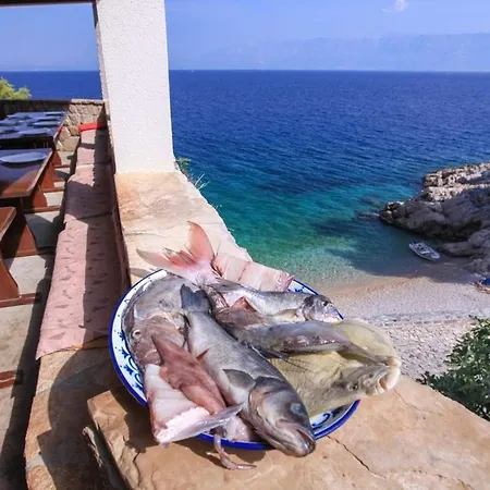 Robinson Marko 公寓 Gdinj